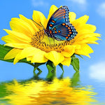 Sunflower with blue butterfly on water cross stitch kit for beginners