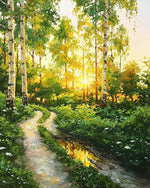Sunlit birch forest path cross stitch kit for beginners