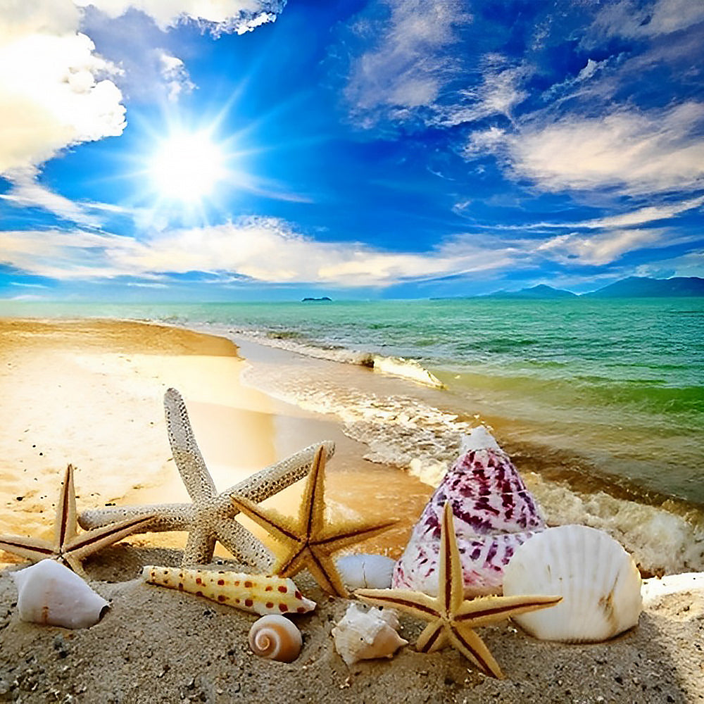 Sunny beach with starfish and shells cross stitch kit for beginners