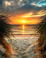 Sunset through beach and grass paint by numbers kit for beginners
