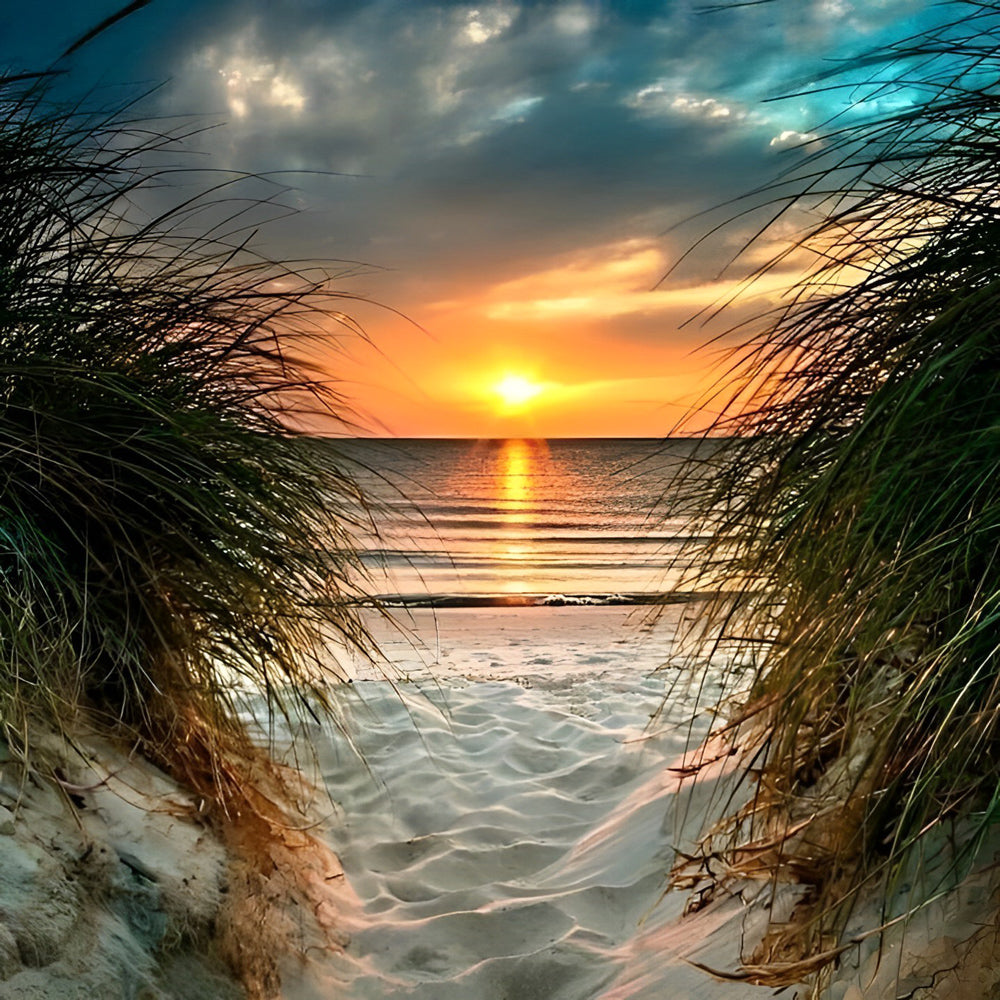 Sunset through beach dune grass cross stitch kit for beginners