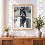 Finished tabby cat reflection cross stitch artwork displayed