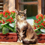 Tabby cat with red flowers cross stitch kit for beginners