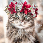 Tabby cat with winter floral crown paint by numbers kit for beginners