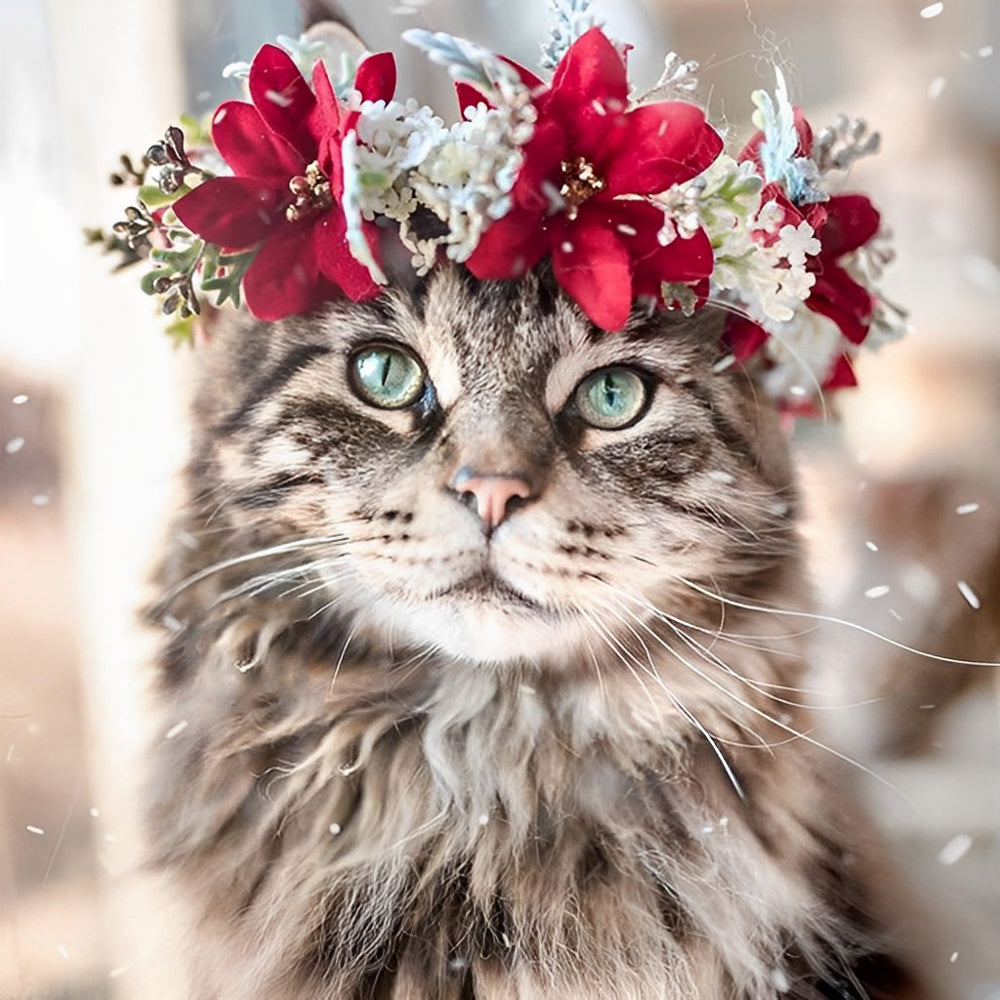 Tabby cat with winter floral crown paint by numbers kit for beginners