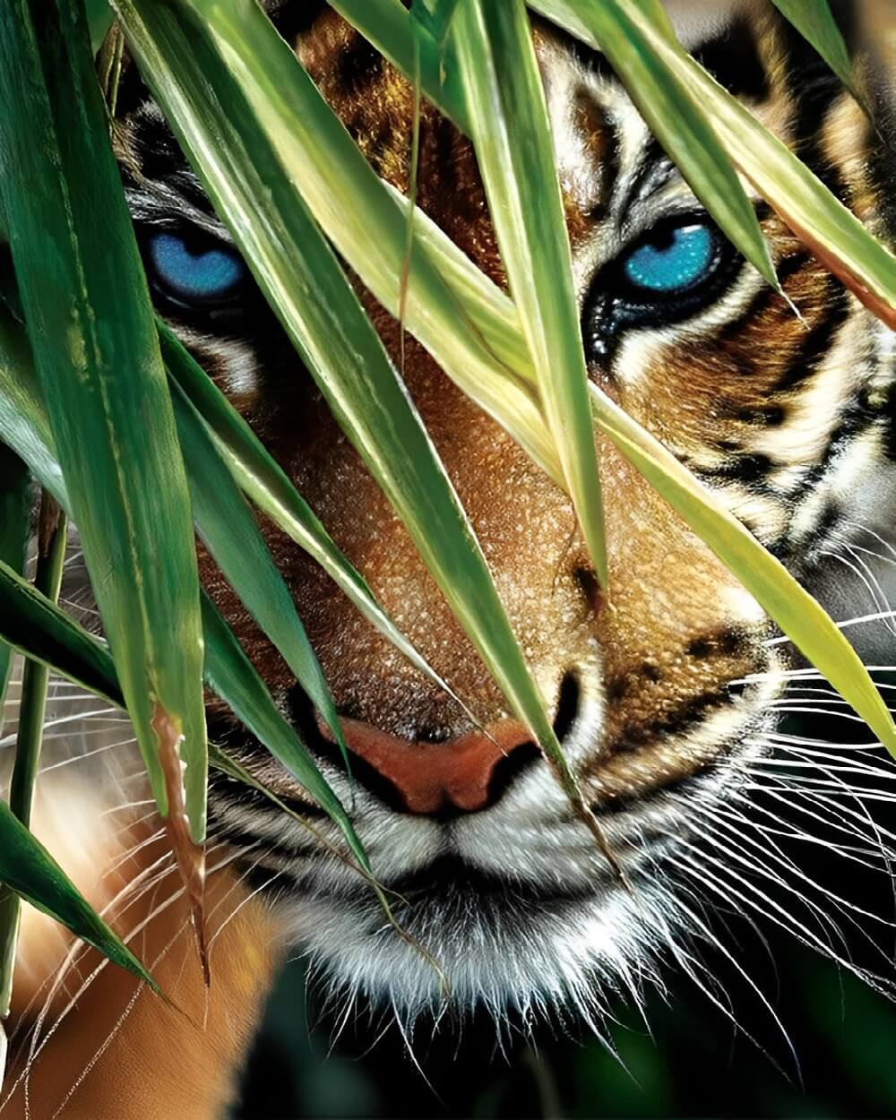 Teal eyed tiger and bamboo cross stitch kit for beginners