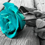 Teal rose on wooden board paint by numbers kit for beginners