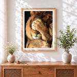 Finished the facepalming lion cross stitch artwork displayed