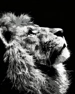 The profile of a lion cross stitch kit for beginners