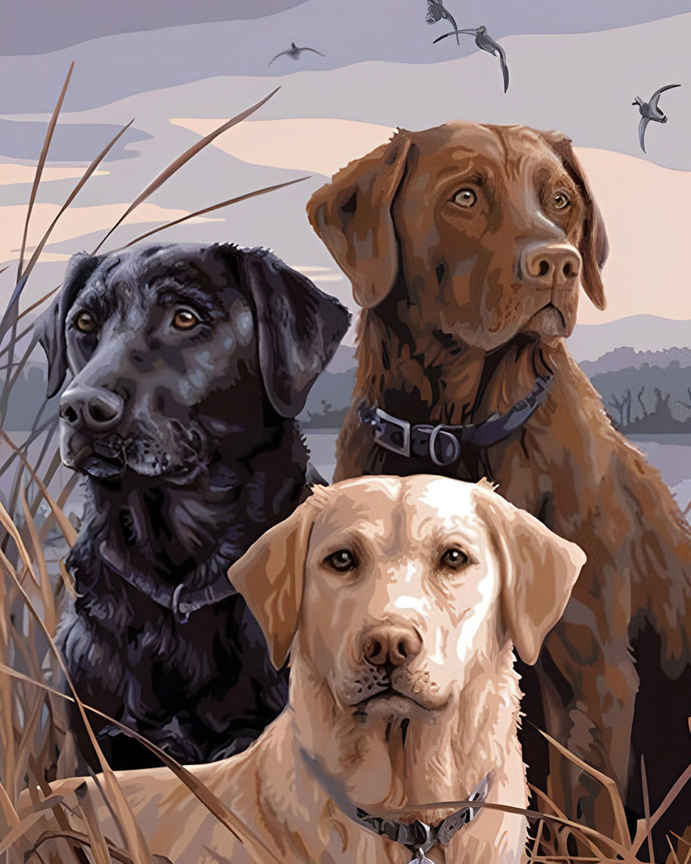 Three gun dogs in the reeds paint by numbers kit for beginners