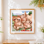 Finished three sleeping pigs in flowers cross stitch artwork displayed