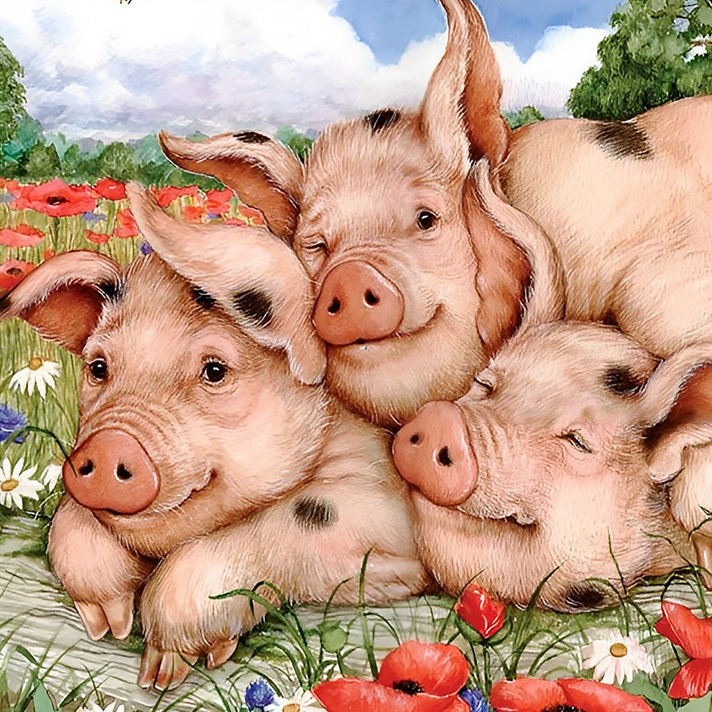 Three sleeping pigs in flowers cross stitch kit for beginners