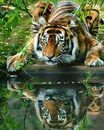 Tiger drinking water reflection cross stitch kit for beginners