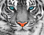 Tiger face close-up cross stitch kit for beginners