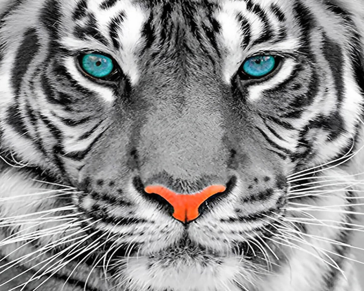 Tiger face close-up cross stitch kit for beginners