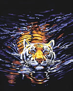 Tiger swimming in water cross stitch kit for beginners