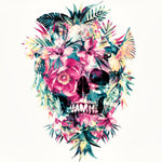 Tropical floral skull with parrots cross stitch kit for beginners