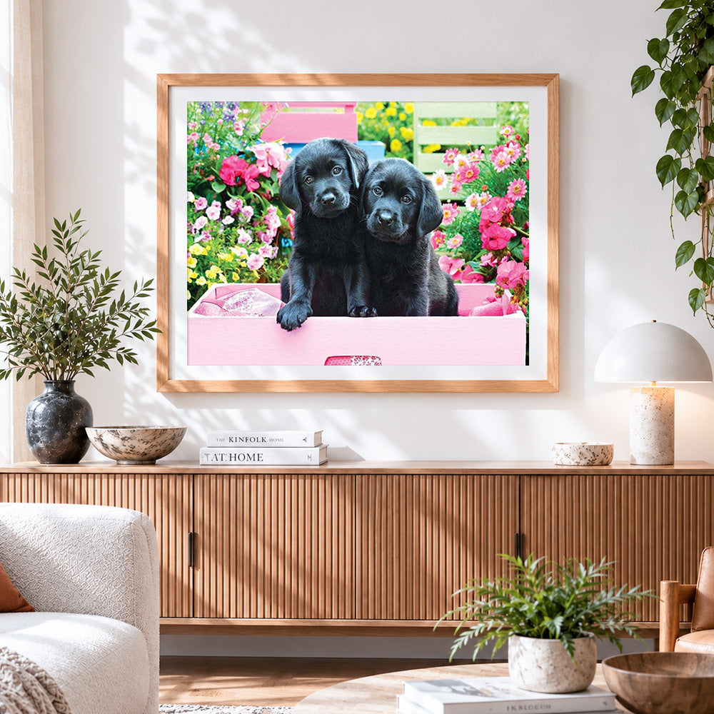 Finished two black labrador puppies in pink box cross stitch artwork displayed