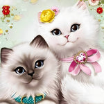 Two fluffy kittens portrait cross stitch kit for beginners