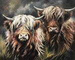 Two highland cows paint by numbers kit for beginners