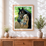 Finished two horses in bridles paint by numbers artwork displayed as home decor
