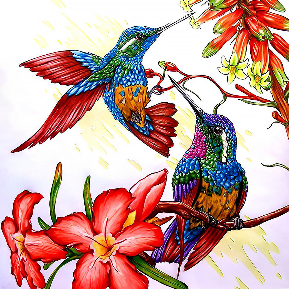 Two hummingbirds and red flowers cross stitch kit for beginners