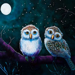 Two owls under the moon cross stitch kit for beginners