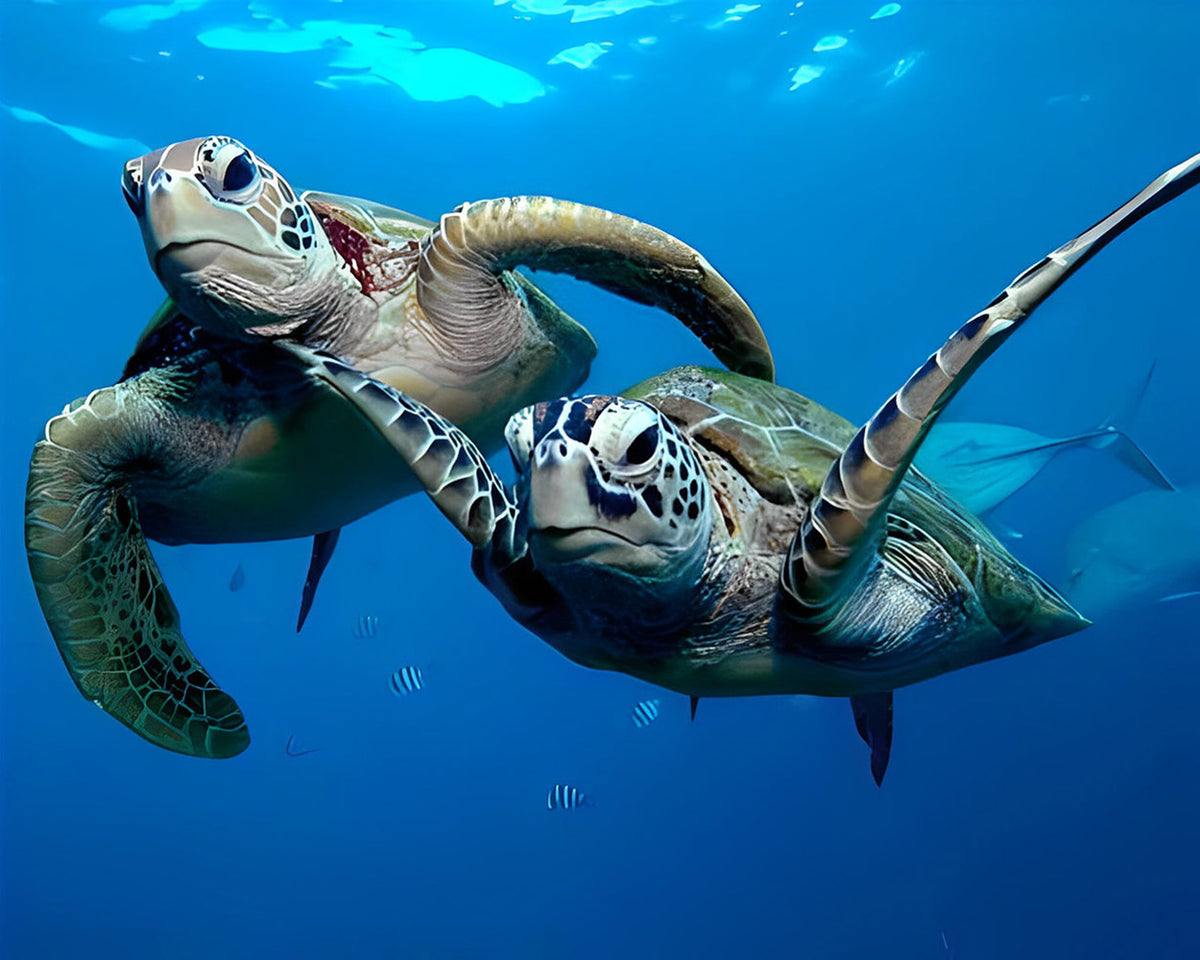 Two sea turtles swimming underwater cross stitch kit for beginners