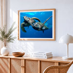 Two sea turtles swimming underwater cross stitch artwork displayed on wall as home decor