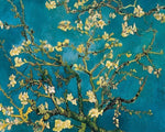 Van gogh style blossoming almond tree paint by numbers kit for beginners