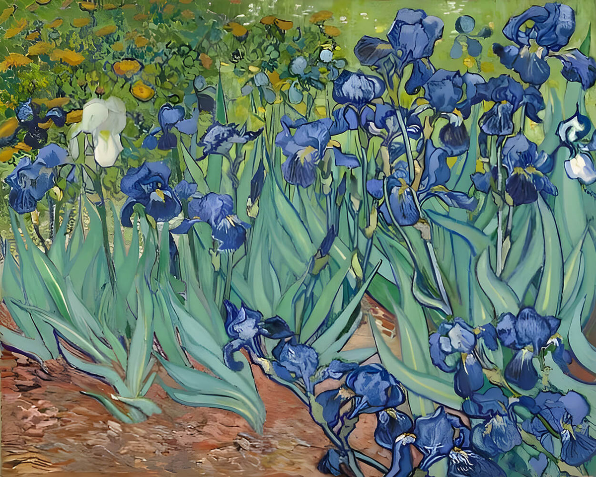 Van gogh style irises field paint by numbers kit for beginners