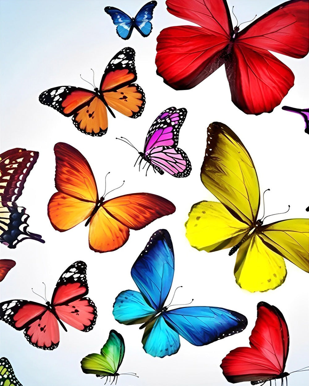 Vibrant butterfly collection cross stitch kit for beginners