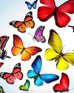 Vibrant butterfly collection cross stitch kit for beginners