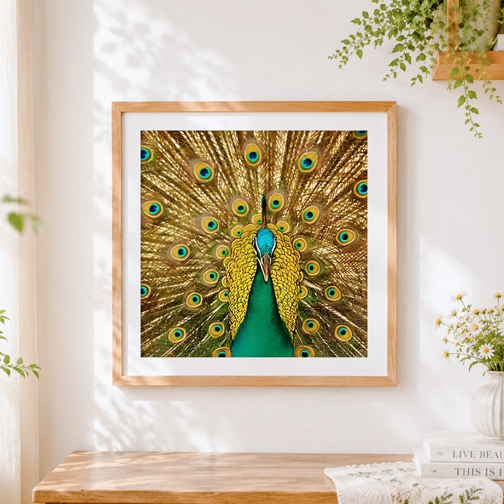 Finished vibrant golden peacock feathers cross stitch artwork displayed