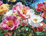 Vibrant peony garden in bloom paint by numbers kit for beginners