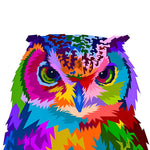 Vibrant pop art owl portrait paint by numbers kit for beginners