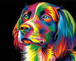Vibrant pop art spaniel on black background paint by numbers kit for beginners