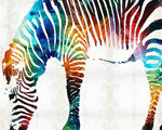 Vibrant rainbow watercolour zebra cross stitch kit for beginners