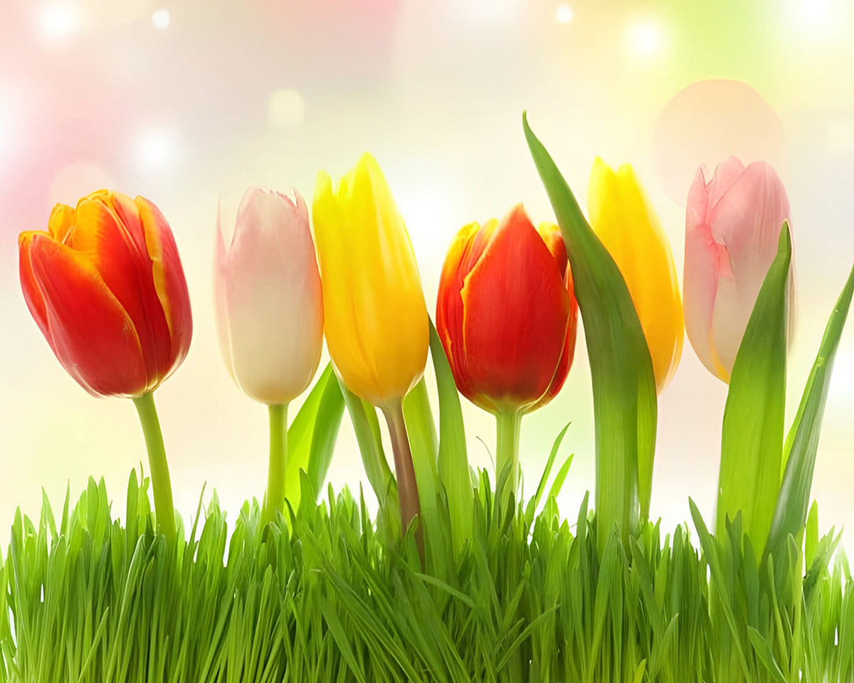 Vibrant spring tulips cross stitch kit for beginners