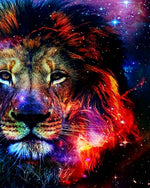Vibrant starry night lion cross stitch kit for beginners