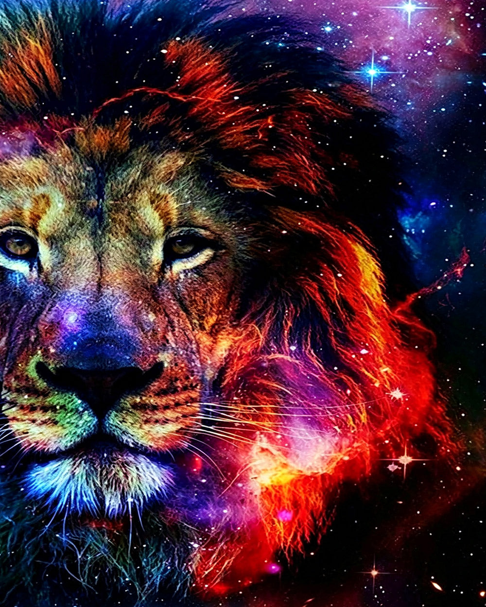 Vibrant starry night lion cross stitch kit for beginners