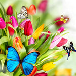 Vibrant tulips and colourful butterflies cross stitch kit for beginners