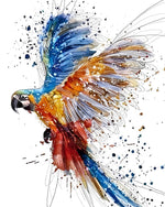 Vibrant watercolour macaw flying cross stitch kit for beginners