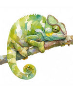 Watercolour chameleon cross stitch kit for beginners