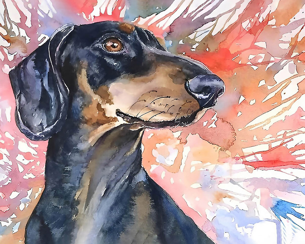 Watercolour dachshund paint by numbers kit for beginners