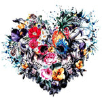 Watercolour floral heart skulls cross stitch kit for beginners