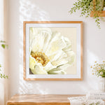 Finished watercolour peony in cream cross stitch artwork displayed