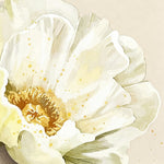 Watercolour peony in cream cross stitch kit for beginners