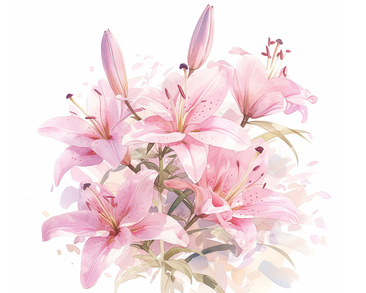 Watercolour pink lilies paint by numbers kit for beginners