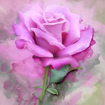 Watercolour pink rose cross stitch kit for beginners